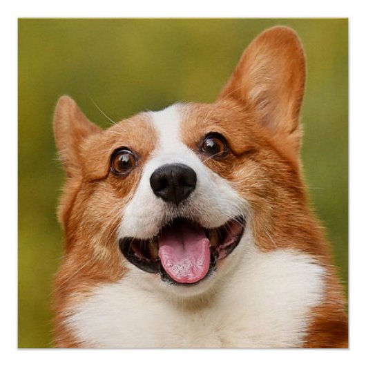 Hinzufügen eines Personalisierten, benutzerdefinie Poster (Vorderseite)