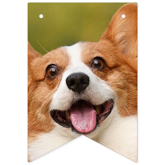 Hinzufügen eines Personalisierten, benutzerdefinie Wimpelkette (Erste Fahne)