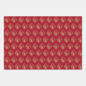 Hinzufügen Text Chinesisch Neujahr Rabbit Golden R Geschenkpapier Set (Vorderseite 3)