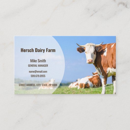 Hinzufügen von Foto Cow QR Code Business Cards Visitenkarte (Vorderseite)