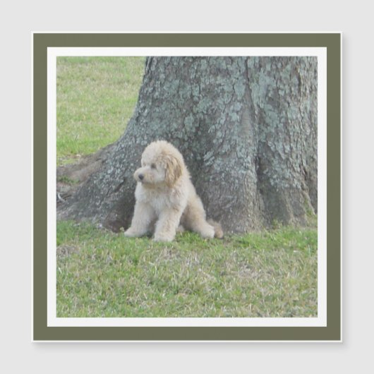 Hinzufügen von Fotomaterial zum Square-Template Mo Magnetkarte (Vorderseite)