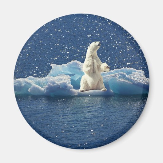 Hinzufügen von SLOGAN zum Rett von Polarbären mit  Magnet (Vorne)