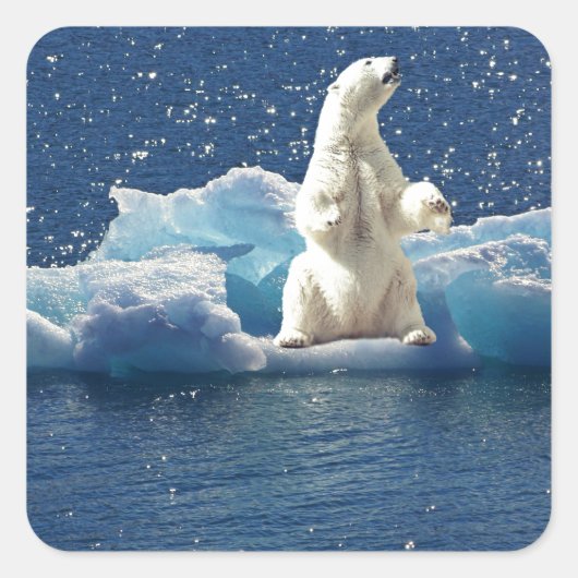 Hinzufügen von SLOGAN zum Rett von Polarbären mit Quadratischer Aufkleber (Vorderseite)