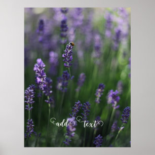 Hinzufügen von Textlavender ladybug lila Poster