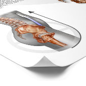 Hiperlordosis - Definition, Ursachen und Poster (Ecke)