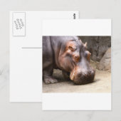 Hipo Postkarte (Vorne/Hinten)