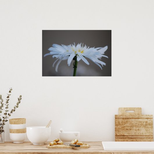 Hippie daisy und Bedeutung Poster (Küche)