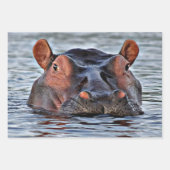 Hippie Geschenkpapier Set (Vorderseite)