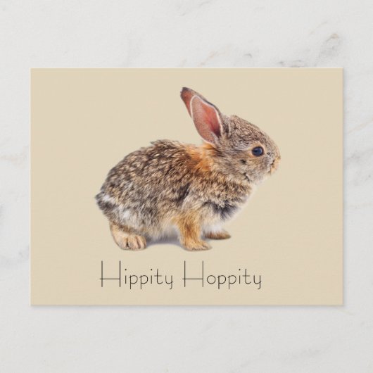 Hippity Hoppity Cottontail Rabbit Postkarte (Vorderseite)