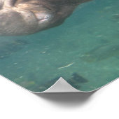 Hippo1-Poster Poster (Ecke)