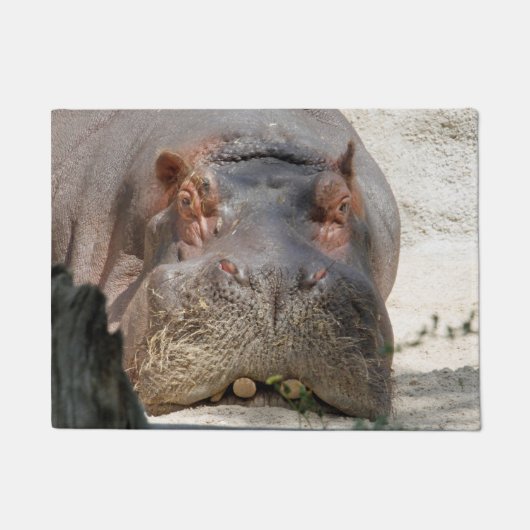Hippo_20171101_by_JAMFoto Fußmatte (Vorderseite)