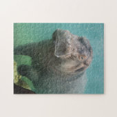 hippo-4 puzzle (Horizontal)