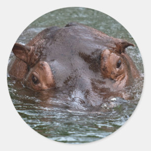 Hippo 8879 runder aufkleber
