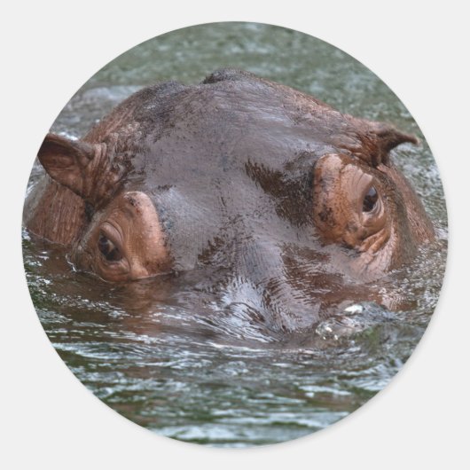 Hippo 8879 runder aufkleber (Vorderseite)