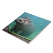 hippo-8 fliese (Seite)