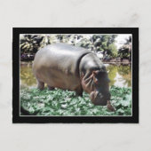 Hippo & Bird Postkarte (Vorderseite)