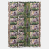 Hippo-FotoCollage, Decke (Vorderseite Vertikal)