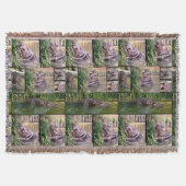 Hippo-FotoCollage, Decke (Vorderseite)