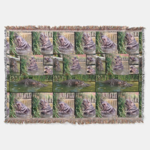 Hippo-FotoCollage, Decke