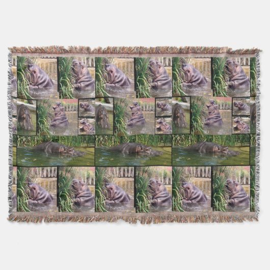 Hippo-FotoCollage, Decke (Vorderseite)