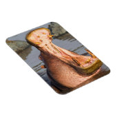 Hippo-Gähnen, Tansania Magnet (Rechte Seite)