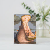 Hippo-Gähnen, Tansania Postkarte (Stehend Vorderseite)
