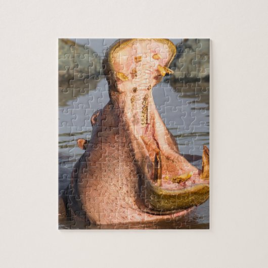 Hippo-Gähnen, Tansania Puzzle (Vertikal)