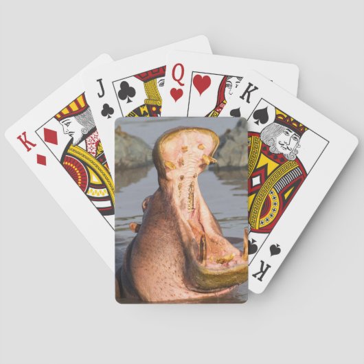 Hippo-Gähnen, Tansania Spielkarten (Rückseite)