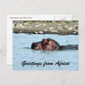 Hippo-Grüße Postkarte (Vorne/Hinten)