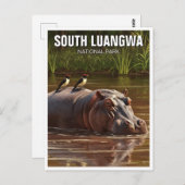 Hippo im Süd-Luangwa-Nationalpark Sambia Postkarte (Vorne/Hinten)