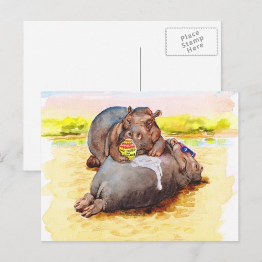 Hippo in der Sonne Postkarte (Vorne/Hinten)