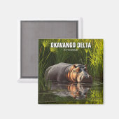 Hippo in Okavango Delta Botswana Magnet (Vorderseite/Rückseite)