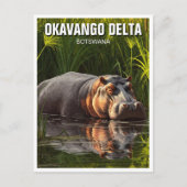 Hippo in Okavango Delta Botswana Postkarte (Vorderseite)