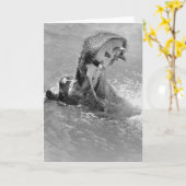 Hippo-Merkkarte gefüttert Karte (Gelbe Blume)