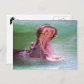 Hippo Mouth Open Postcard Postkarte (Vorne/Hinten)