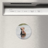 Hippo-Mund (runder oder quadratischer Magnet) Magnet (In Situ (Geschirrspüler))