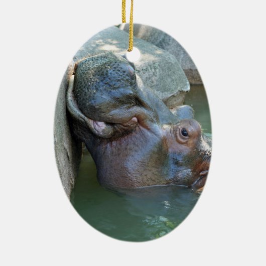 Hippo Ornament (Hinten)