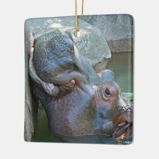 Hippo Ornament (Links)