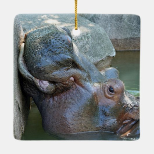 Hippo Ornament (Rückseite)