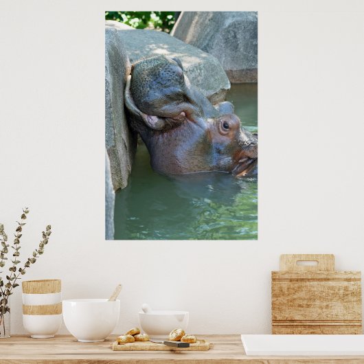 Hippo Poster (Küche)