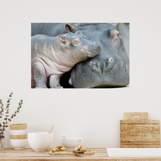 Hippo Poster (Küche)