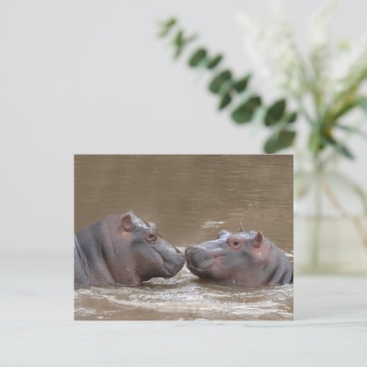 Hippo Postkarte (Stehend Vorderseite)