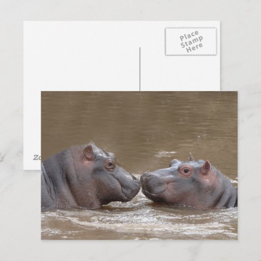 Hippo Postkarte (Vorne/Hinten)