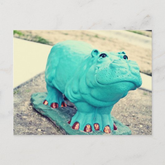 Hippo Postkarte (Vorderseite)