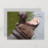 Hippo Postkarte (Vorne/Hinten)