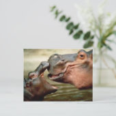 HIPPO POSTKARTE (Stehend Vorderseite)