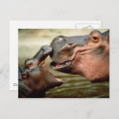 HIPPO POSTKARTE (Vorne/Hinten)
