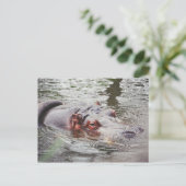 Hippo Postkarte (Stehend Vorderseite)