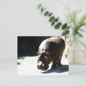 Hippo Postkarte (Stehend Vorderseite)