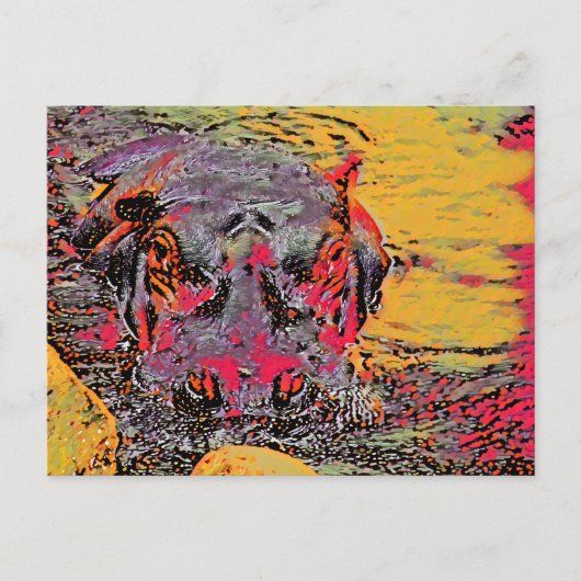 Hippo-Postkarte Postkarte (Vorderseite)